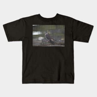 Kestrel Kids T-Shirt